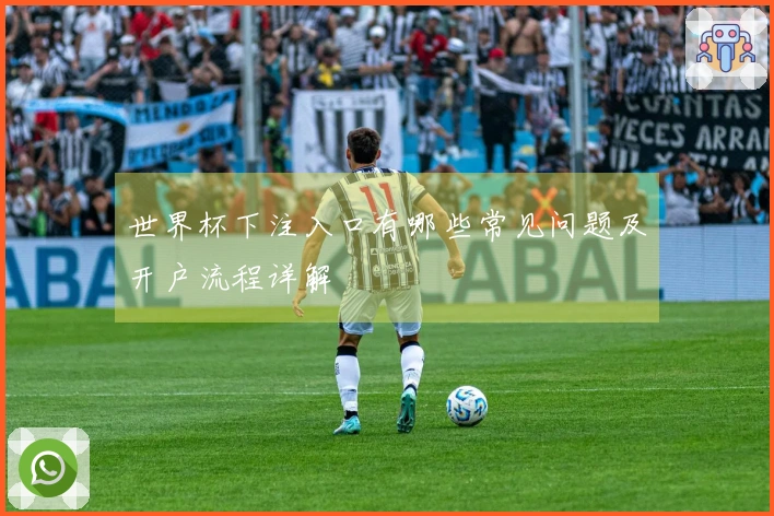世界杯下注入口有哪些常见问题及开户流程详解
