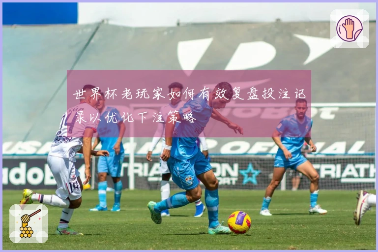 世界杯老玩家如何有效复盘投注记录以优化下注策略
