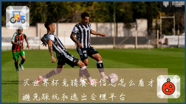 买世界杯竞猜赛前信息怎么看才能避免踩坑和选出合理平台