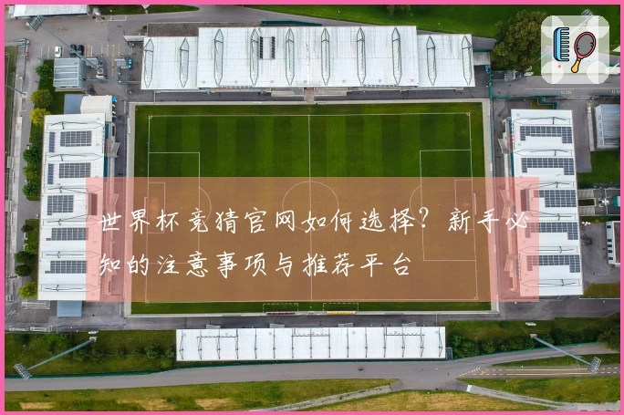 世界杯竞猜官网如何选择？新手必知的注意事项与推荐平台