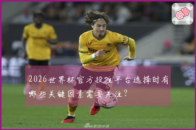 2026世界杯官方投注平台选择时有哪些关键因素需要关注？