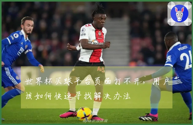 世界杯买球平台页面打不开,用户该如何快速寻找解决办法