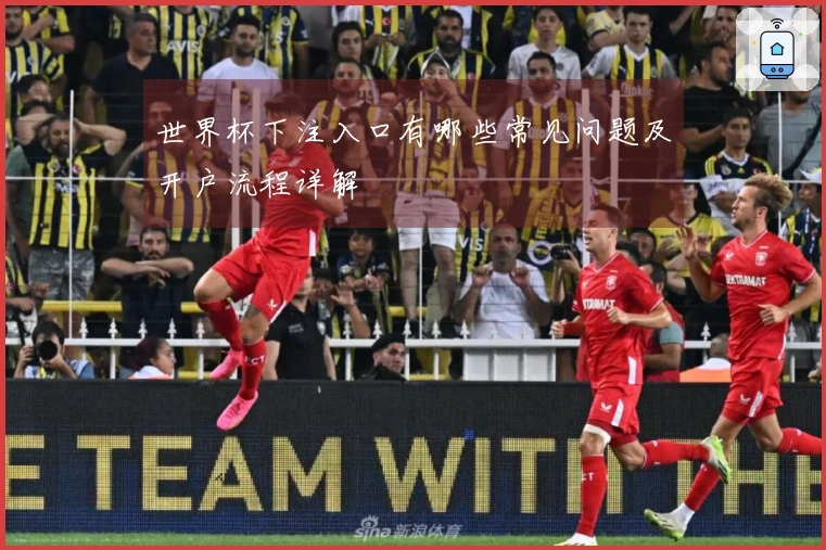 世界杯下注入口有哪些常见问题及开户流程详解