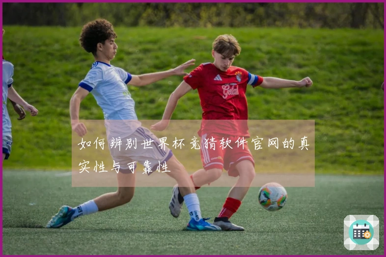 如何辨别世界杯竞猜软件官网的真实性与可靠性