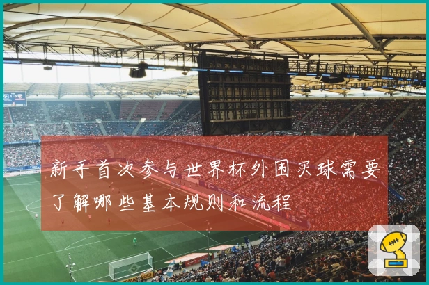 新手首次参与世界杯外围买球需要了解哪些基本规则和流程