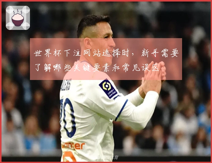 世界杯下注网站选择时，新手需要了解哪些关键要素和常见误区