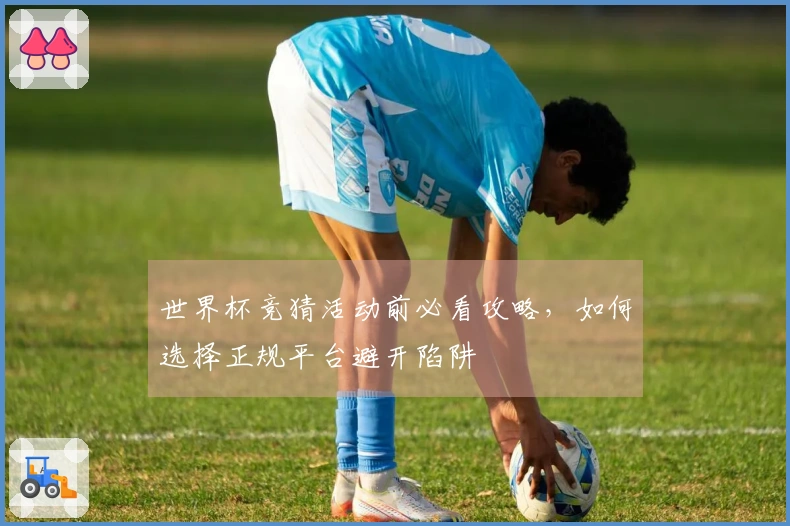 世界杯竞猜活动前必看攻略，如何选择正规平台避开陷阱