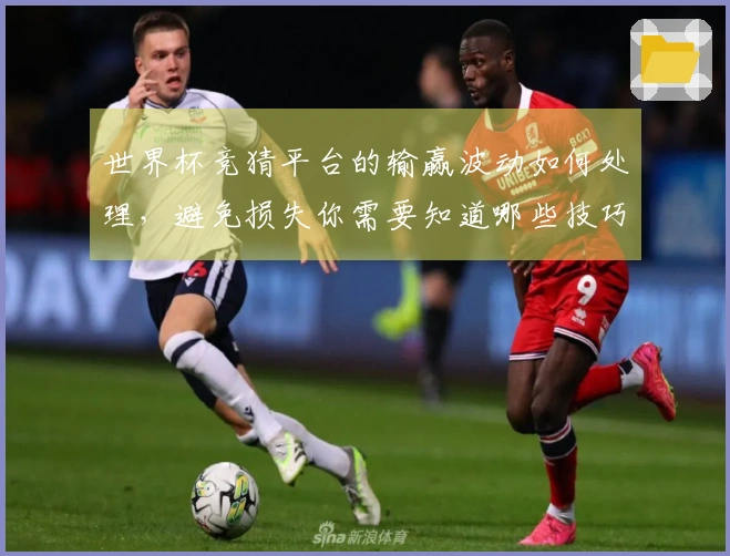 世界杯竞猜平台的输赢波动如何处理，避免损失你需要知道哪些技巧