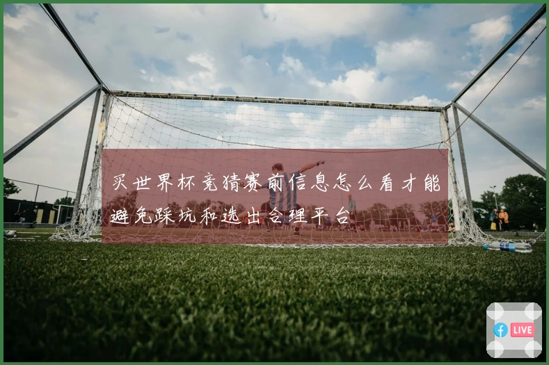买世界杯竞猜赛前信息怎么看才能避免踩坑和选出合理平台