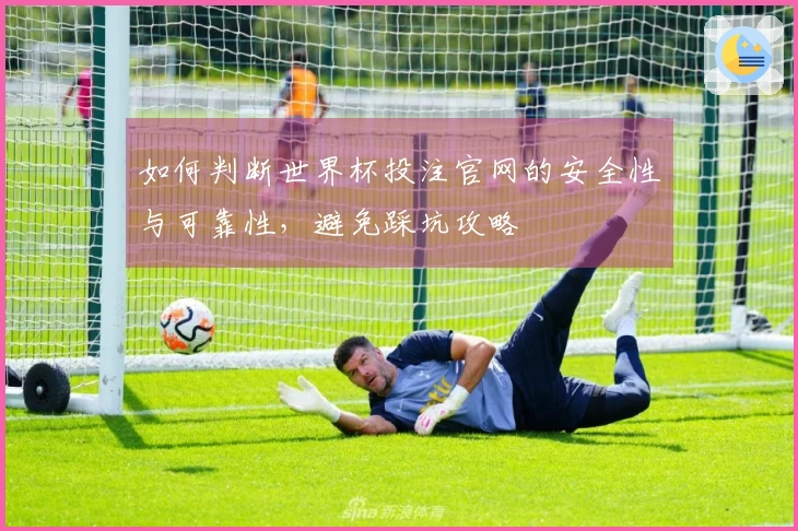 如何判断世界杯投注官网的安全性与可靠性,避免踩坑攻略
