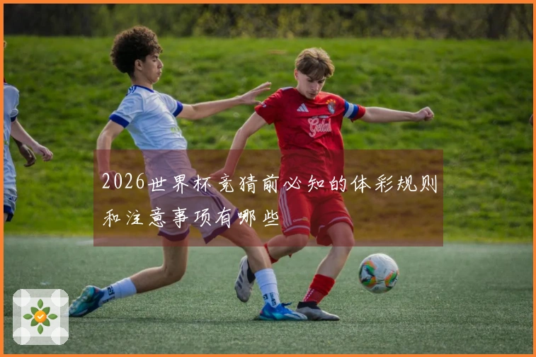 2026世界杯竞猜前必知的体彩规则和注意事项有哪些