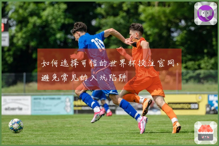 如何选择可信的世界杯投注官网，避免常见的入坑陷阱