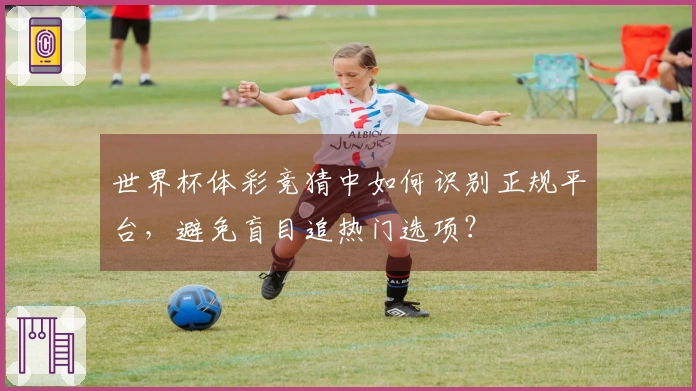 世界杯体彩竞猜中如何识别正规平台，避免盲目追热门选项？
