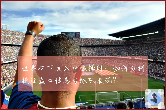 世界杯下注入口选择时，如何分析投注盘口信息与球队表现？