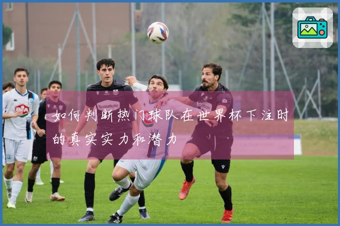 如何判断热门球队在世界杯下注时的真实实力和潜力