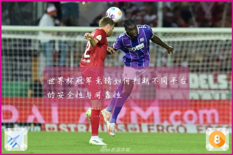 世界杯冠军竞猜如何判断不同平台的安全性与可靠性