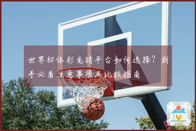 世界杯体彩竞猜平台如何选择？新手必看注意事项及比较指南