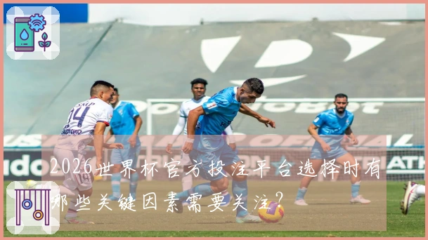 2026世界杯官方投注平台选择时有哪些关键因素需要关注？