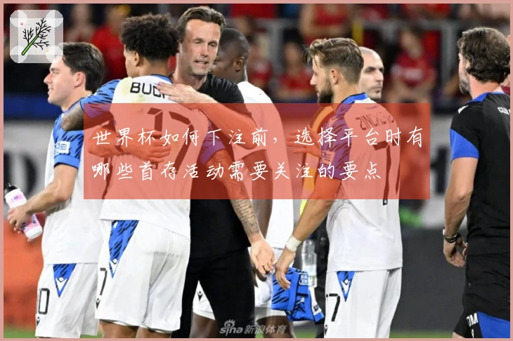 世界杯如何下注前，选择平台时有哪些首存活动需要关注的要点