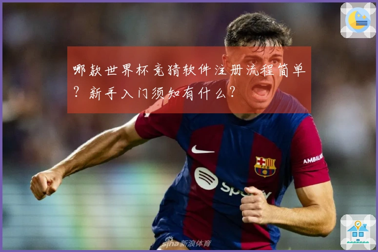哪款世界杯竞猜软件注册流程简单？新手入门须知有什么？