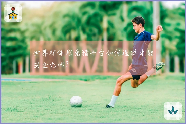 世界杯体彩竞猜平台如何选择才能安全无忧？