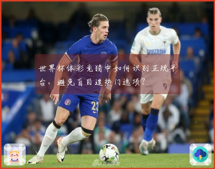 世界杯体彩竞猜中如何识别正规平台，避免盲目追热门选项？