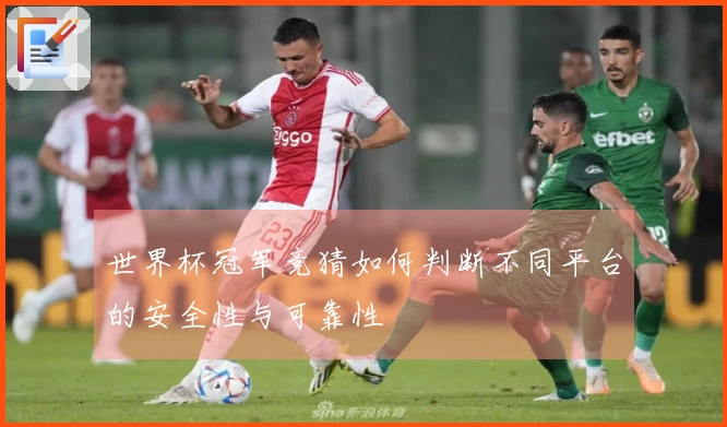 世界杯冠军竞猜如何判断不同平台的安全性与可靠性