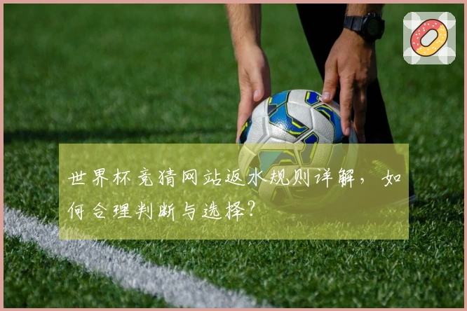 世界杯竞猜网站返水规则详解,如何合理判断与选择?