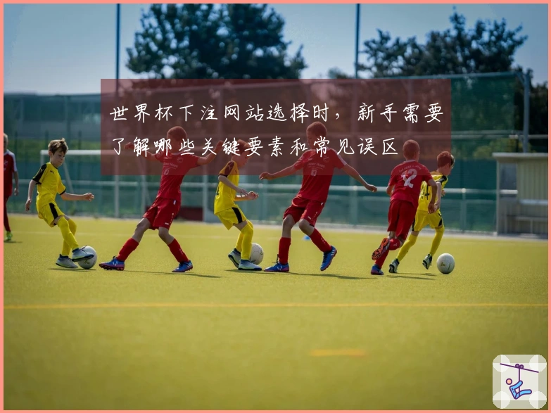 世界杯下注网站选择时,新手需要了解哪些关键要素和常见误区