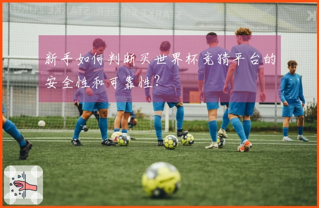 新手如何判断买世界杯竞猜平台的安全性和可靠性？