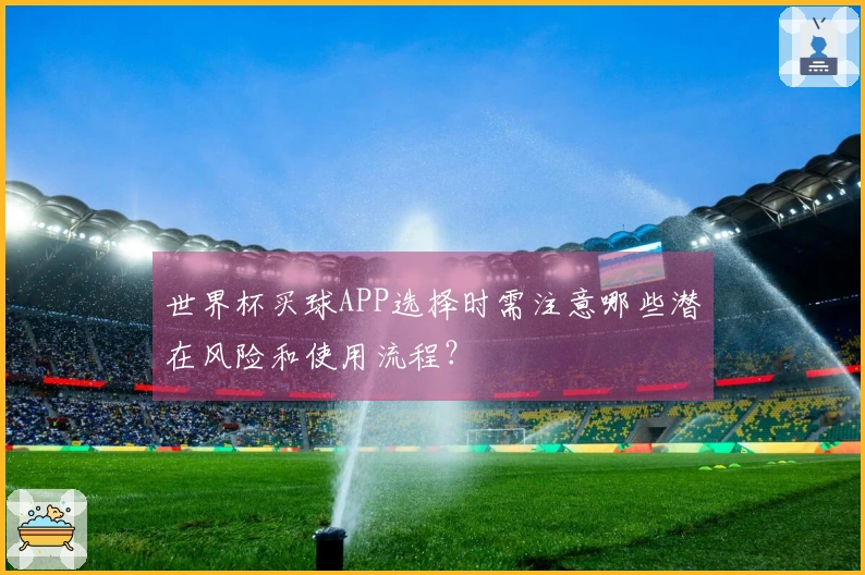 世界杯买球APP选择时需注意哪些潜在风险和使用流程？